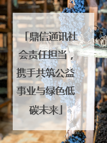 鼎信通讯社会责任担当，携手共筑公益事业与绿色低碳未来